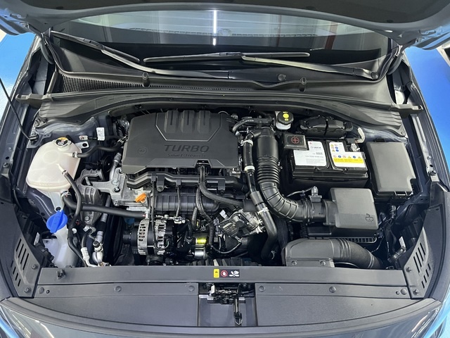 Hyundaii30 1.0 TGDI N-Line 30 Aniversario 88 kW (120 CV) Vehículo usado en Barcelona - 32