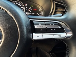 Mazda CX-30 2.0 e-SKYACTIV-X Homura 2WD AT 137 kW (186 CV)