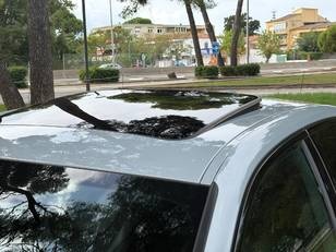 BMW Serie 3 318d 110 kW (150 CV)
