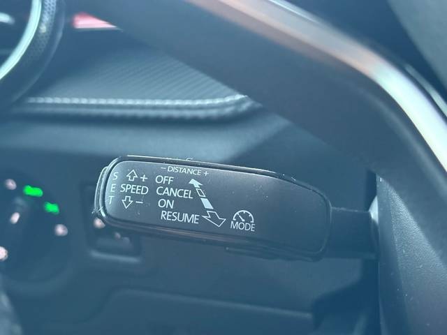 SkodaFabia 1.0 TSI Monte Carlo DSG 85 kW (115 CV) Vehículo usado en Barcelona - 36