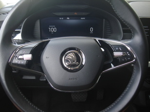 Skoda Kamiq 1.0 TSI Ambition 81 kW (110 CV)