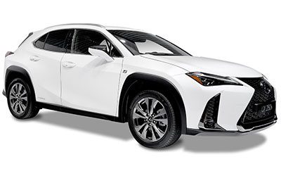 Lexus UX 250h Business 2WD 135 kW (184 CV) Vehículo usado en Madrid