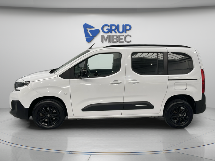 Citroen Berlingo BlueHDi 100 S&S Plus Talla M 75 kW (102 CV) 3 Citroen Berlingo BlueHDi 100 S&S Plus Talla M 75 kW (102 CV) 3