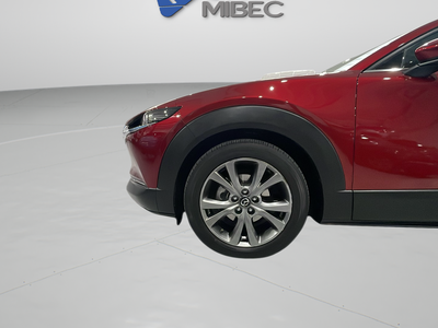 Mazda CX-30 2.0 e-Skyactiv-X Zenith AT 137 kW (186 CV) 6 Mazda CX-30 2.0 e-Skyactiv-X Zenith AT 137 kW (186 CV) 6