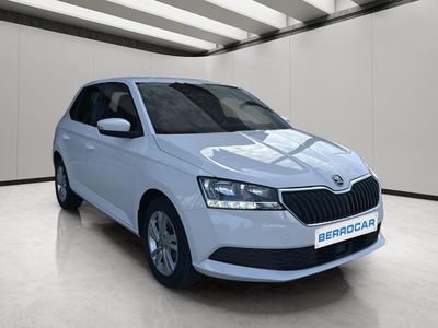 Skoda Fabia 1.0 TSI Ambition Plus 81 kW (110 CV) 8 Skoda Fabia 1.0 TSI Ambition Plus 81 kW (110 CV) 8
