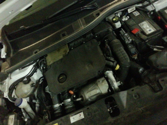 Peugeot 2008 BlueHDi 110 S&S Active Pack 81 kW (110 CV) Vehículo usado en Madrid Peugeot 2008 BlueHDi 110 S&S Active Pack 81 kW (110 CV) Vehículo usado en Madrid