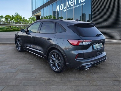 Ford Kuga 1.5 EcoBlue ST-Line 88 kW (120 CV) 13 Ford Kuga 1.5 EcoBlue ST-Line 88 kW (120 CV) 13