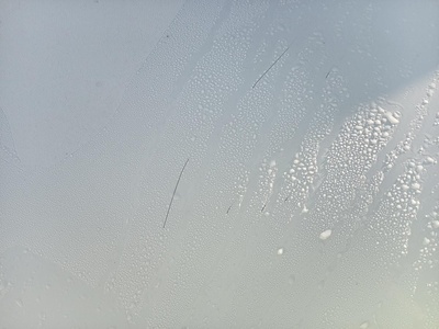 Renault Clio Business TCe 66 kW (90 CV) GLP 14 Renault Clio Business TCe 66 kW (90 CV) GLP 14