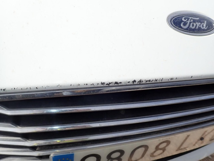 Ford Focus SportBreak 1.5 Ecoblue Titanium 88 kW (120 CV) Vehículo usado en Madrid Ford Focus SportBreak 1.5 Ecoblue Titanium 88 kW (120 CV) Vehículo usado en Madrid