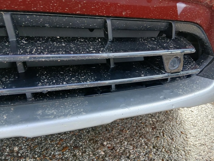 BMW X4 xDrive20d 140 kW (190 CV) Vehículo usado en Madrid BMW X4 xDrive20d 140 kW (190 CV) Vehículo usado en Madrid