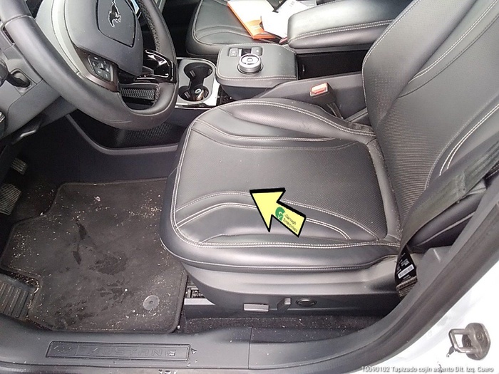 Ford Mustang Mach-E Batería 98.8Kwh 216 kW (294 CV) Vehículo usado en Madrid Ford Mustang Mach-E Batería 98.8Kwh 216 kW (294 CV) Vehículo usado en Madrid