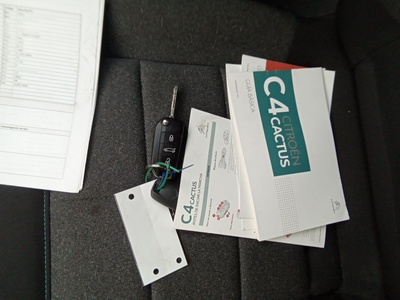 Citroen C4 Cactus BlueHDi 100 S&S Shine 75 kW (102 CV) 12 Citroen C4 Cactus BlueHDi 100 S&S Shine 75 kW (102 CV) 12