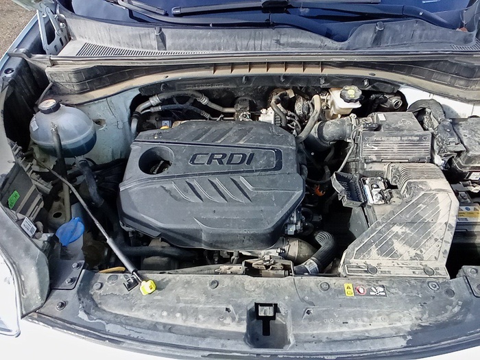 Kia Sportage 1.6 MHEV Business 4x4 100 kW (136 CV) Vehículo usado en Madrid Kia Sportage 1.6 MHEV Business 4x4 100 kW (136 CV) Vehículo usado en Madrid