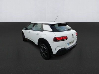 Citroen C4 Cactus BlueHDi 100 S&S Feel 75 kW (102 CV) 6 Citroen C4 Cactus BlueHDi 100 S&S Feel 75 kW (102 CV) 6