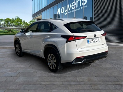Lexus NX 300h Business Navigation 2WD 145 kW (197 CV) 6 Lexus NX 300h Business Navigation 2WD 145 kW (197 CV) 6
