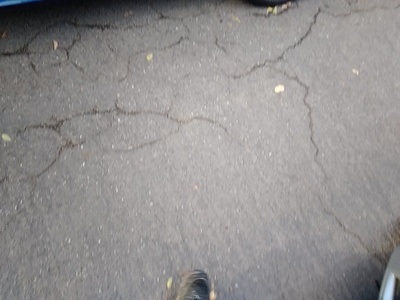 BMW Serie 3 320d 140 kW (190 CV) 11 BMW Serie 3 320d 140 kW (190 CV) 11