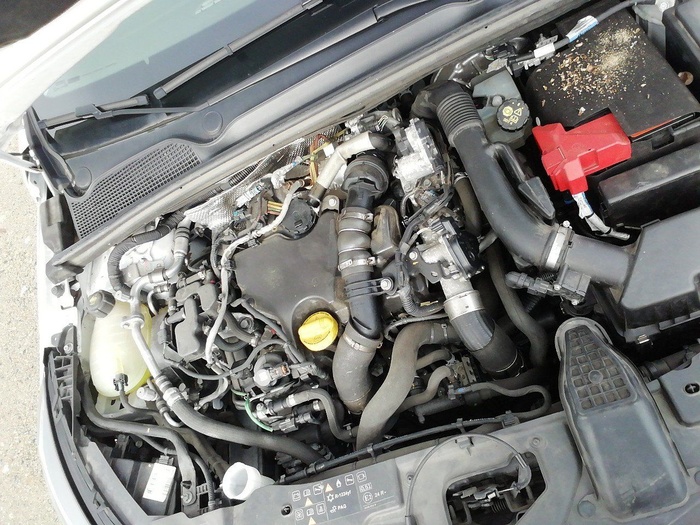 Renault Clio Business Blue dCi 63 kW (85 CV) Vehículo usado en Madrid Renault Clio Business Blue dCi 63 kW (85 CV) Vehículo usado en Madrid