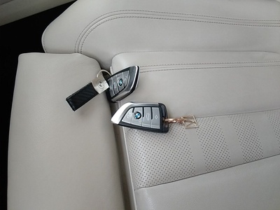 BMW X5 xDrive45e 290 kW (394 CV) 13 BMW X5 xDrive45e 290 kW (394 CV) 13