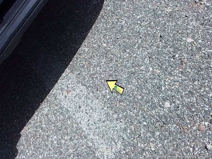 SEAT Arona 1.0 TSI Ecomotive Style Edition 85 kW (115 CV) Vehículo usado en Madrid SEAT Arona 1.0 TSI Ecomotive Style Edition 85 kW (115 CV) Vehículo usado en Madrid