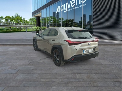 Lexus UX 250h Business 2WD 135 kW (184 CV) 6 Lexus UX 250h Business 2WD 135 kW (184 CV) 6