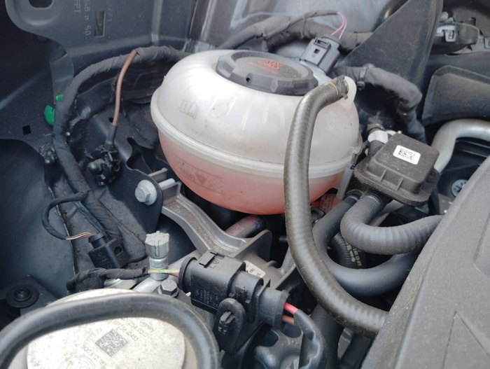 Volkswagen Tiguan Advance 1.5 TSI 110 kW (150 CV) DSG Vehículo usado en Madrid Volkswagen Tiguan Advance 1.5 TSI 110 kW (150 CV) DSG Vehículo usado en Madrid