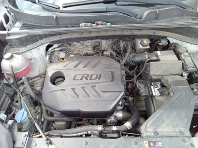 Kia Sportage 1.6 MHEV Business 4x4 100 kW (136 CV) 10 Kia Sportage 1.6 MHEV Business 4x4 100 kW (136 CV) 10