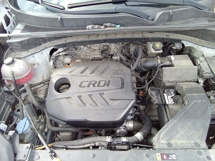 Kia Sportage 1.6 MHEV Business 4x4 100 kW (136 CV) Vehículo usado en Madrid Kia Sportage 1.6 MHEV Business 4x4 100 kW (136 CV) Vehículo usado en Madrid