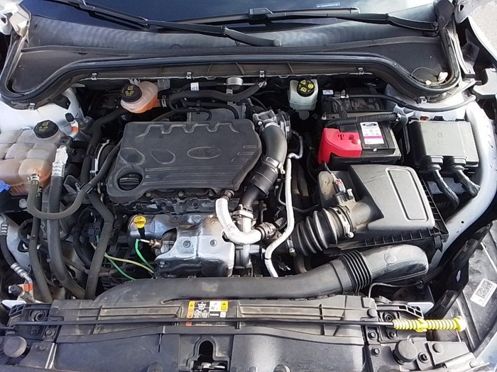 Ford Focus 1.5 Ecoblue ST-Line 88 kW (120 CV) Vehículo usado en Madrid Ford Focus 1.5 Ecoblue ST-Line 88 kW (120 CV) Vehículo usado en Madrid