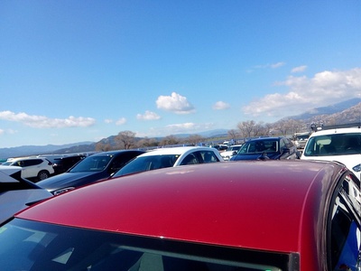 Volkswagen Golf Life 1.5 eTSI 110 kW (150 CV) DSG 13 Volkswagen Golf Life 1.5 eTSI 110 kW (150 CV) DSG 13