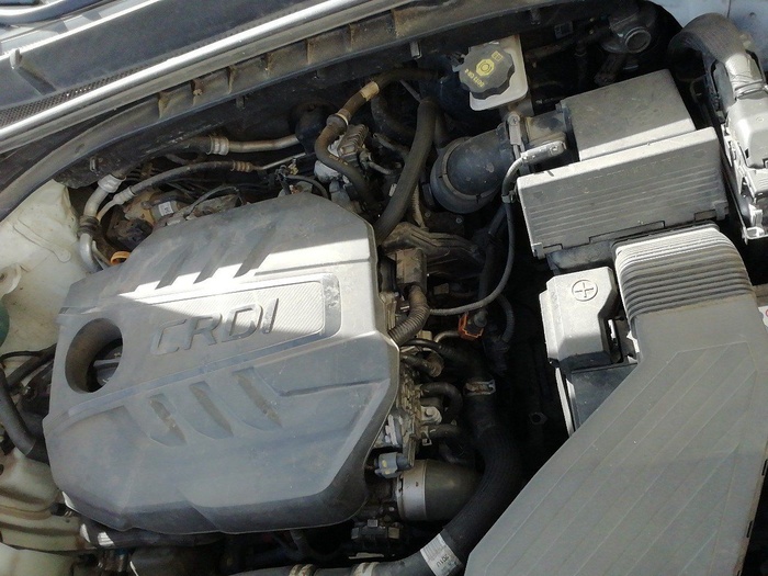 Kia Sportage 1.6 MHEV Business 4x4 100 kW (136 CV) Vehículo usado en Madrid Kia Sportage 1.6 MHEV Business 4x4 100 kW (136 CV) Vehículo usado en Madrid