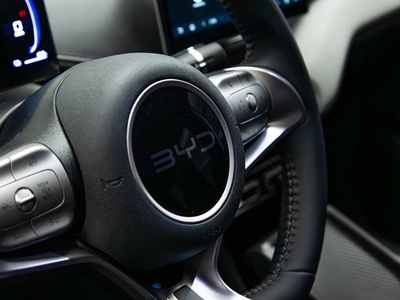 BYD Dolphin Surf Comfort 115 kW (156 CV) 12 BYD Dolphin Surf Comfort 115 kW (156 CV) 12