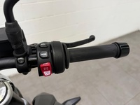 BMW Motorrad F 900 Rthumbs7 BMW Motorrad F 900 Rthumbs7