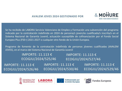 Ayudas fomento empleo juvenil