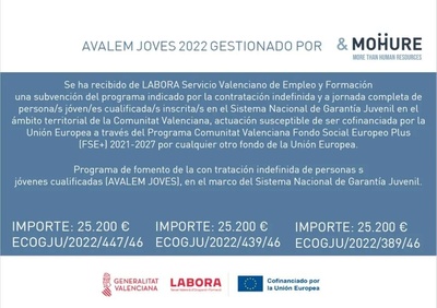 Ayudas fomento empleo juvenil Ayudas fomento empleo juvenil