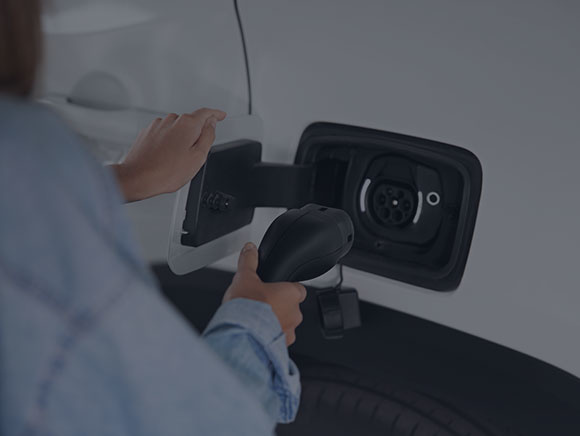 Vehículos eléctricos Berrocar