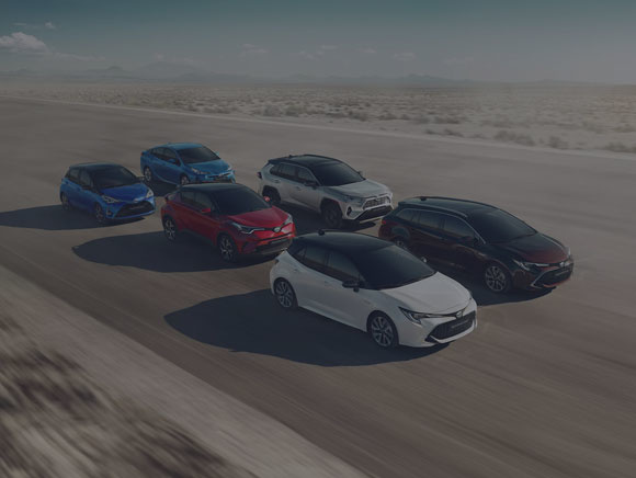 Vehículos toyota Berrocar