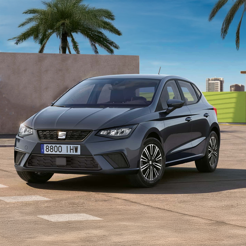 Seat Ibiza Style-renting
