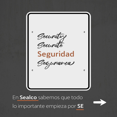 Seguridad Seguridad