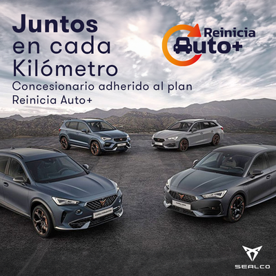 reinicia cupra reinicia cupra