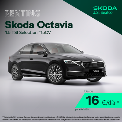 Octavia business Octavia business