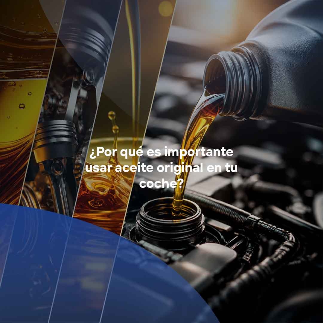 portada aceite sealco