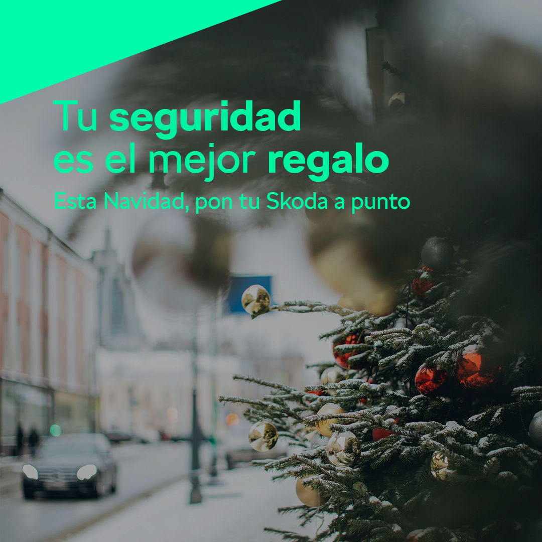 Seguridad Skoda Navidad