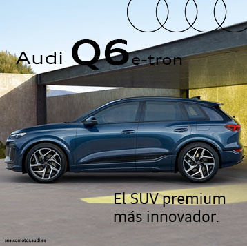 Audi Q6