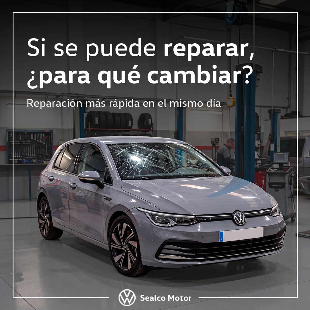 reparación de lunas