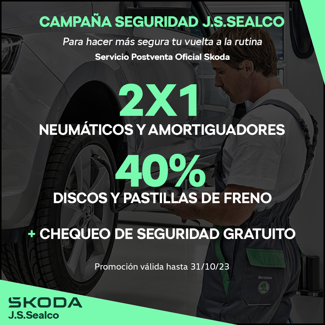 Seguridad 3.0 Skoda
