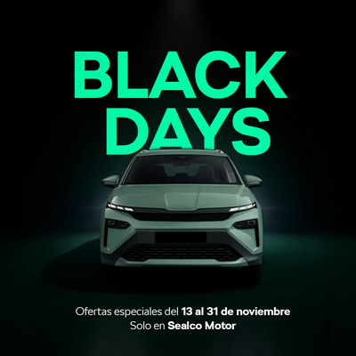 blakc days skoda blakc days skoda