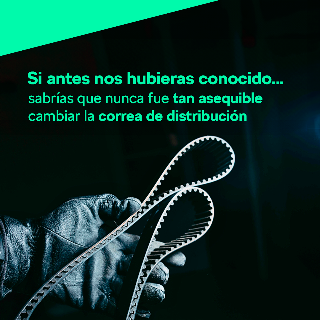 Precios especiales correas Skoda