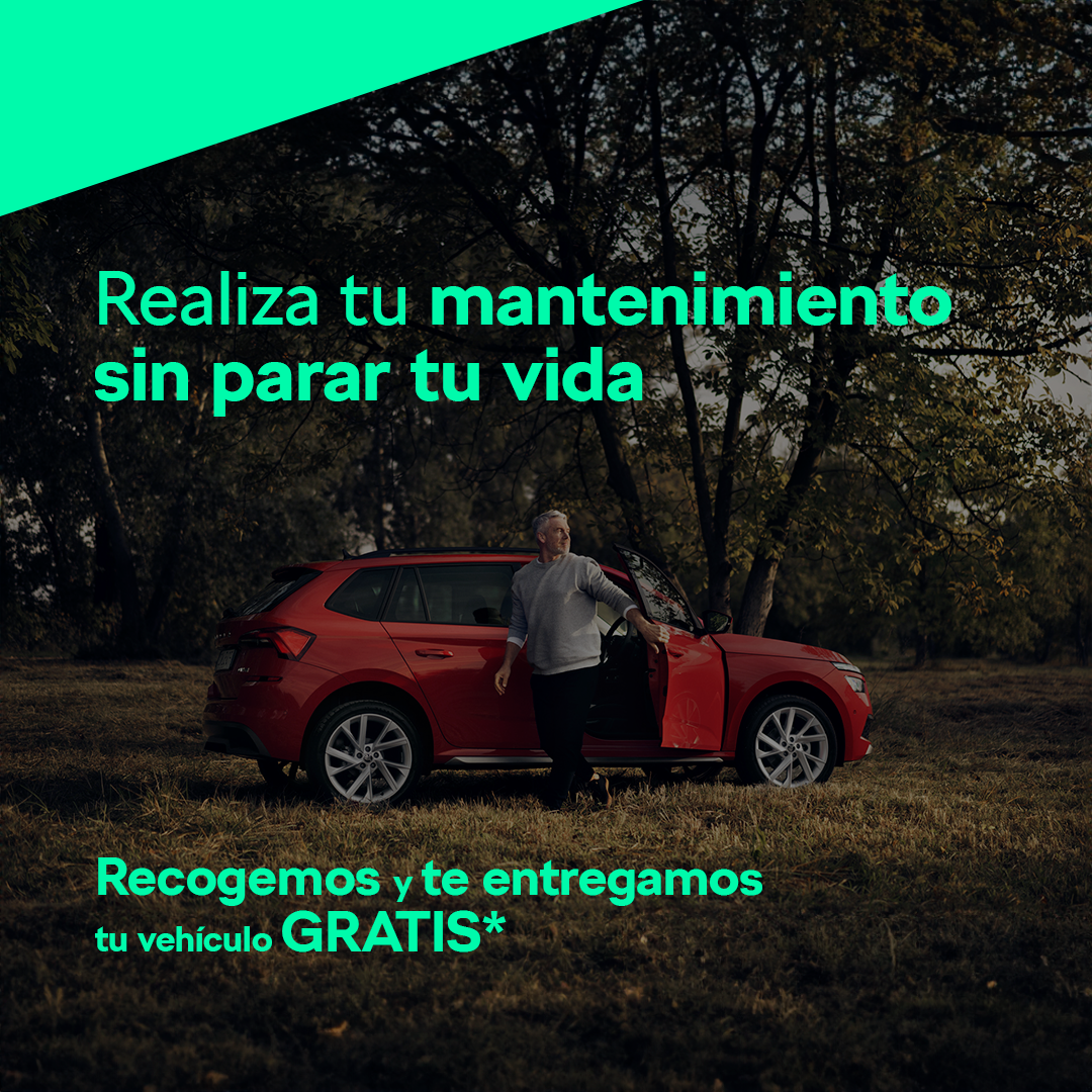 Mantenimiento Skoda