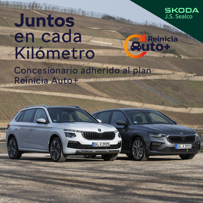 reinicia skoda reinicia skoda