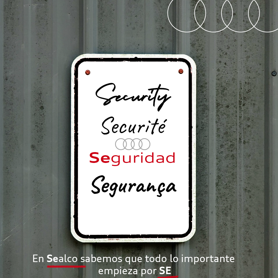 Seguridad Audi